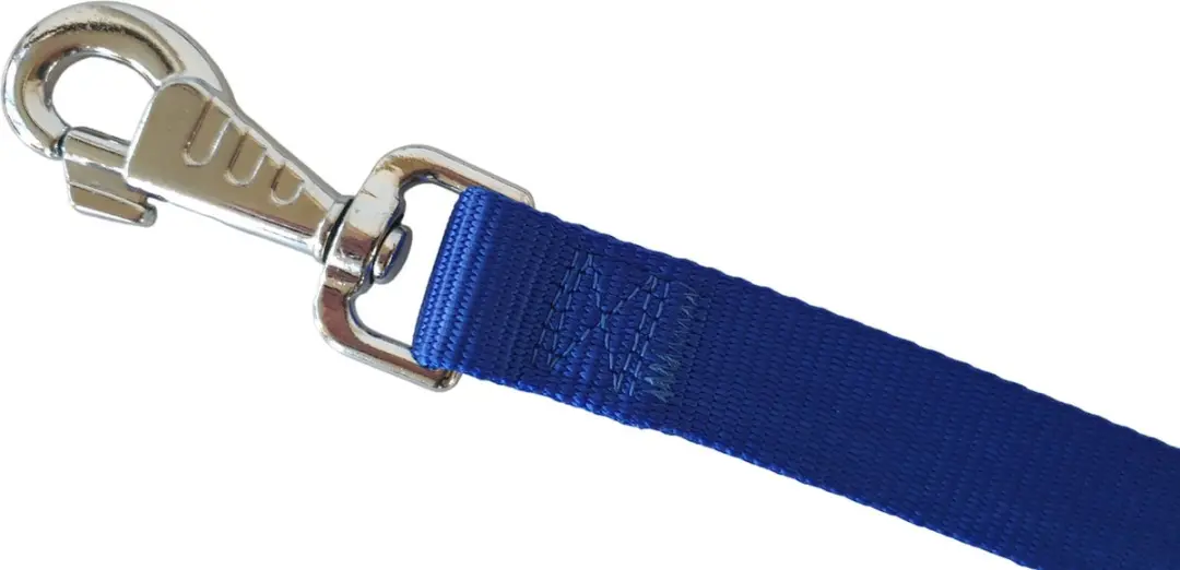 Ferplast Club Hondenlijn Blauw - 25mm x 120cm