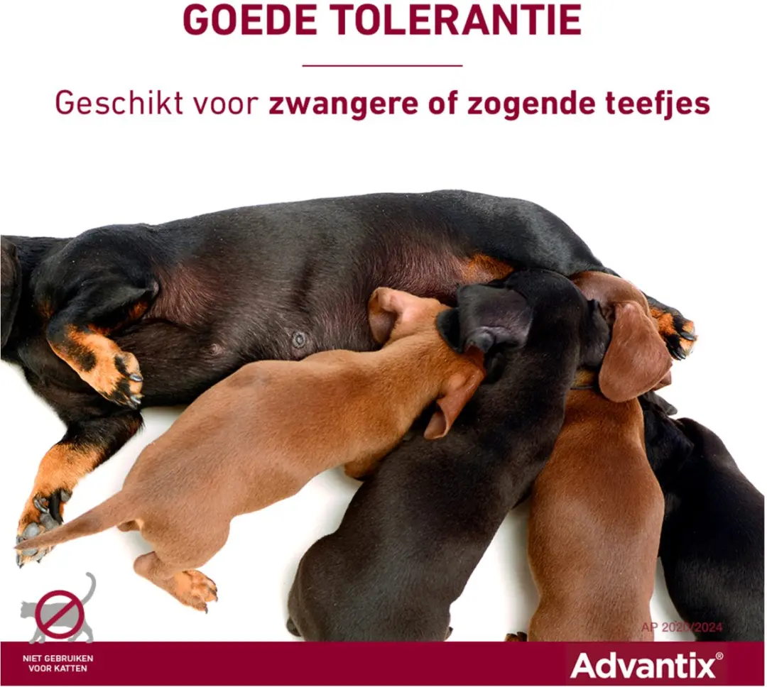 Advantix Vlooien & Teken Pipetten XS - 6 Stuks