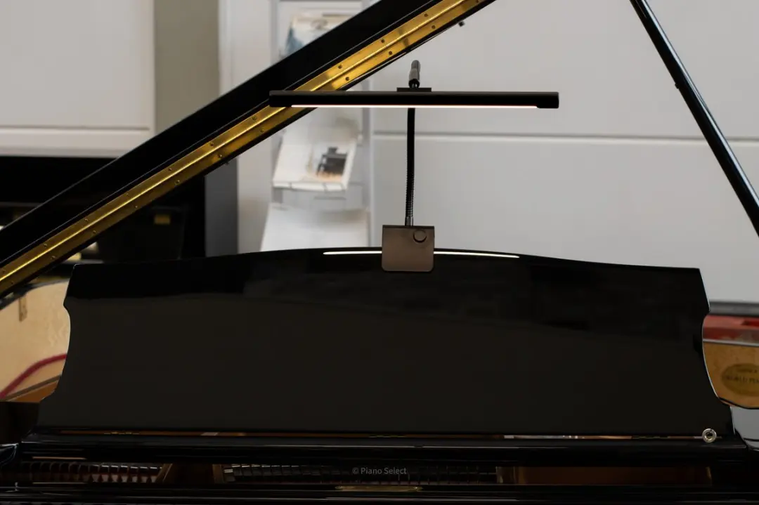 Boston PLM-1500 LED Piano/Vleugellamp - Zwart