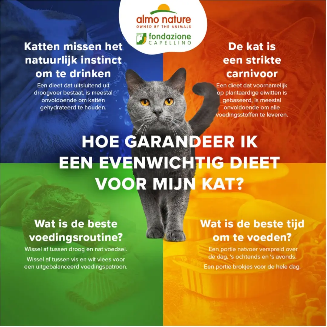 Almo Nature Cat Makreel 70g