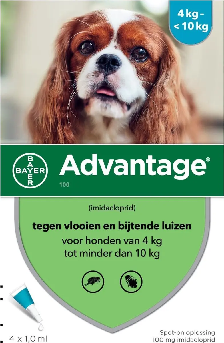 Bayer Advantage 100 Hond 4-10 kg