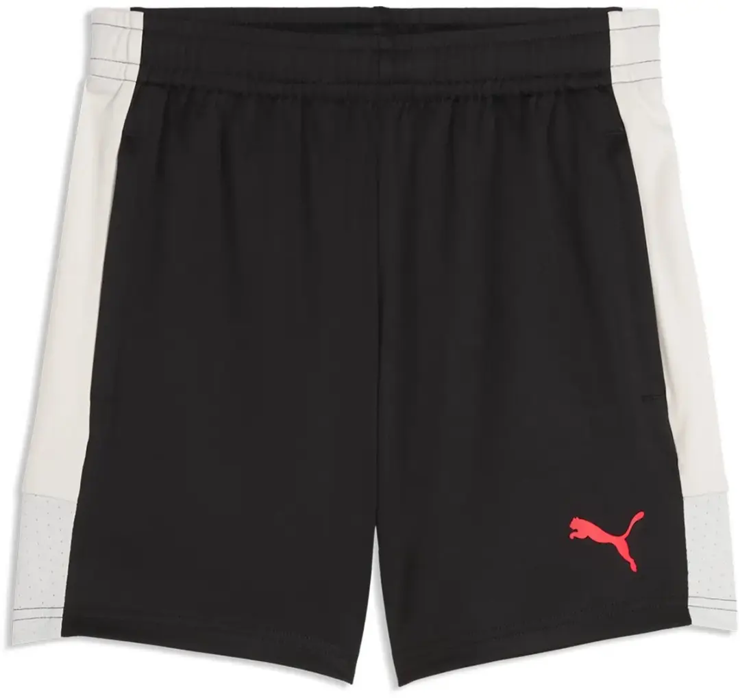 PUMA Individualliga Training Korte Broek