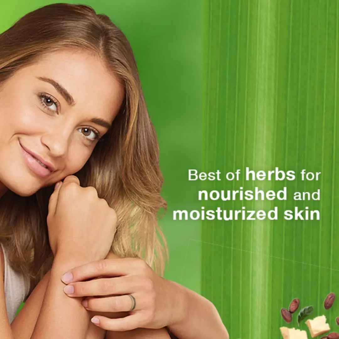 Himalaya Herbals Nourishing Skin Dagcrème 450ml - 3x150ml