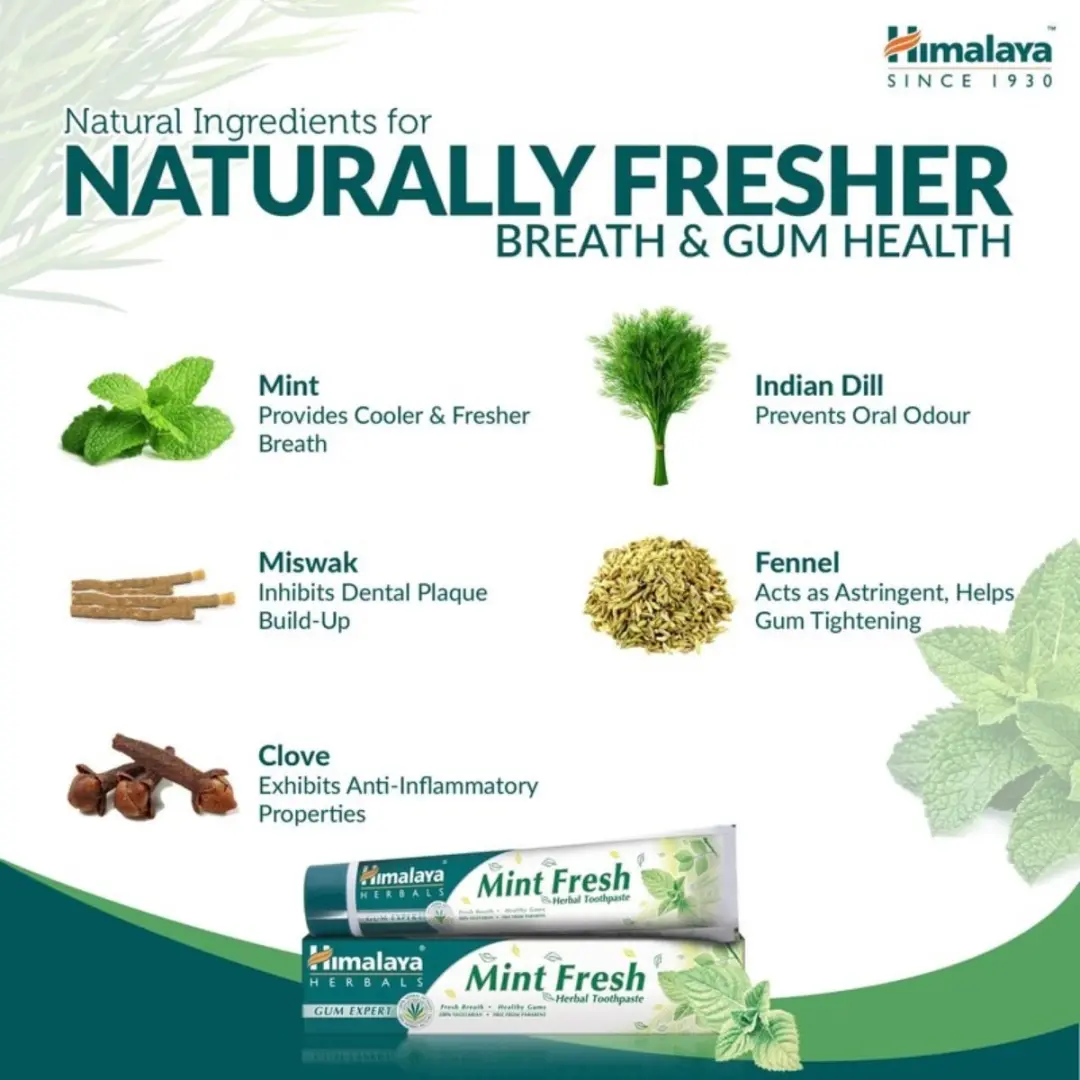Himalaya Herbals Tandpasta Mint Fresh Fluoridevrij - 225ml (3x75ml)