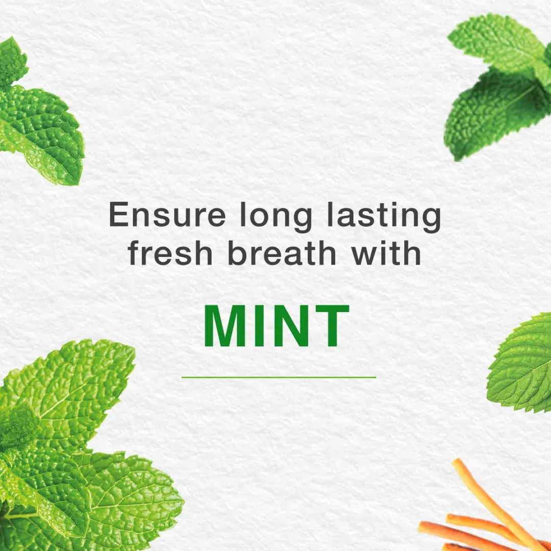 Himalaya Herbals Mint Fresh Tandpasta 75ml