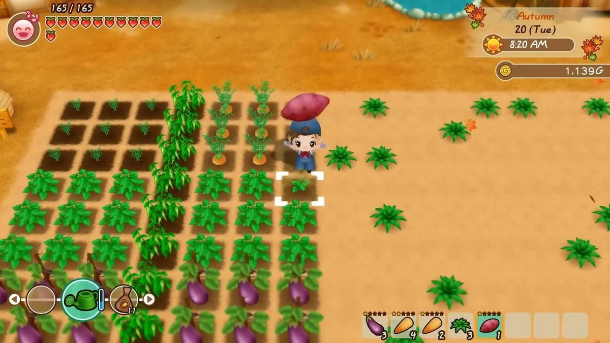 Mindscape Story of Seasons Friends of Mineral Town - Switch