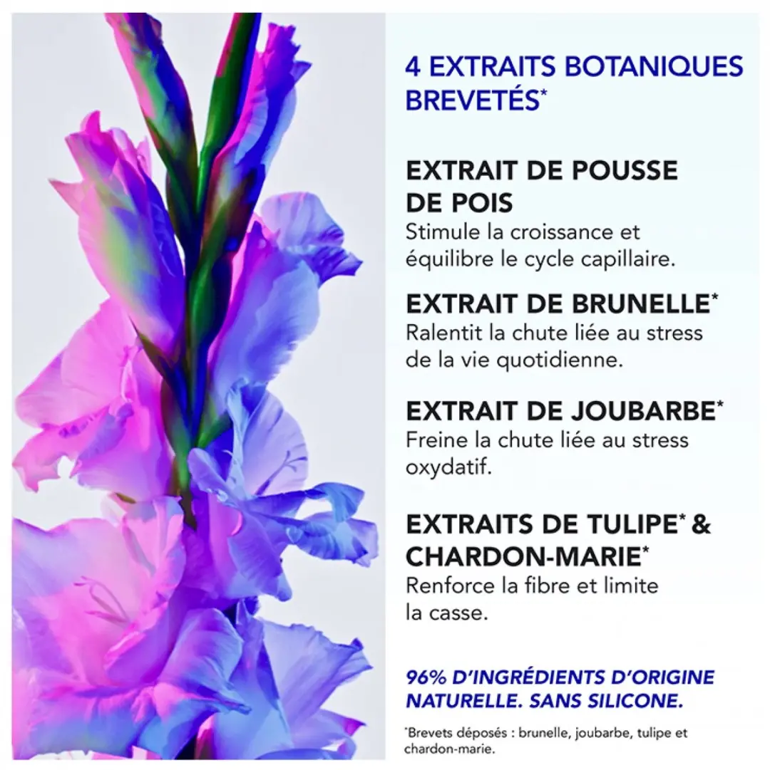 Phyto Phytophanère Anti-Haaruitval 60ml - 12x5ml