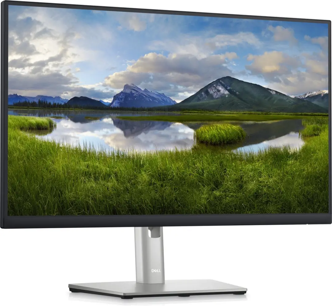 Dell P2423DE TFT Monitor 24" QHD - Zwart