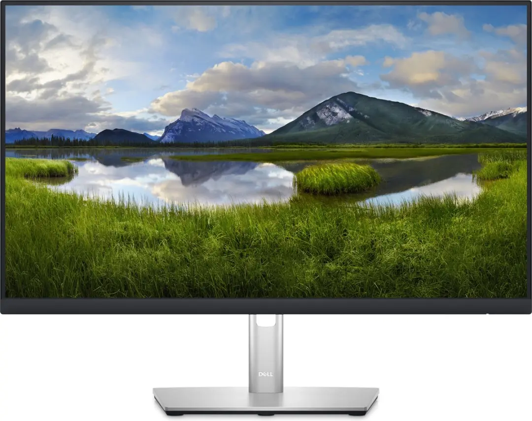Dell P2423DE TFT Monitor 24" QHD