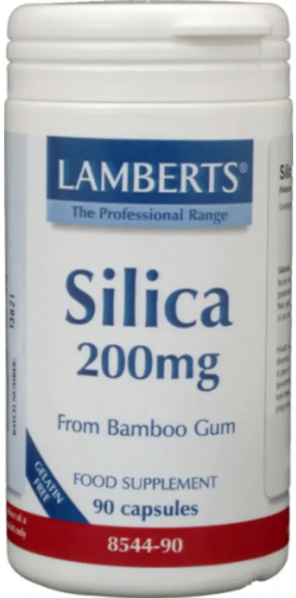 Lamberts Silica Bamboe 90 Capsules