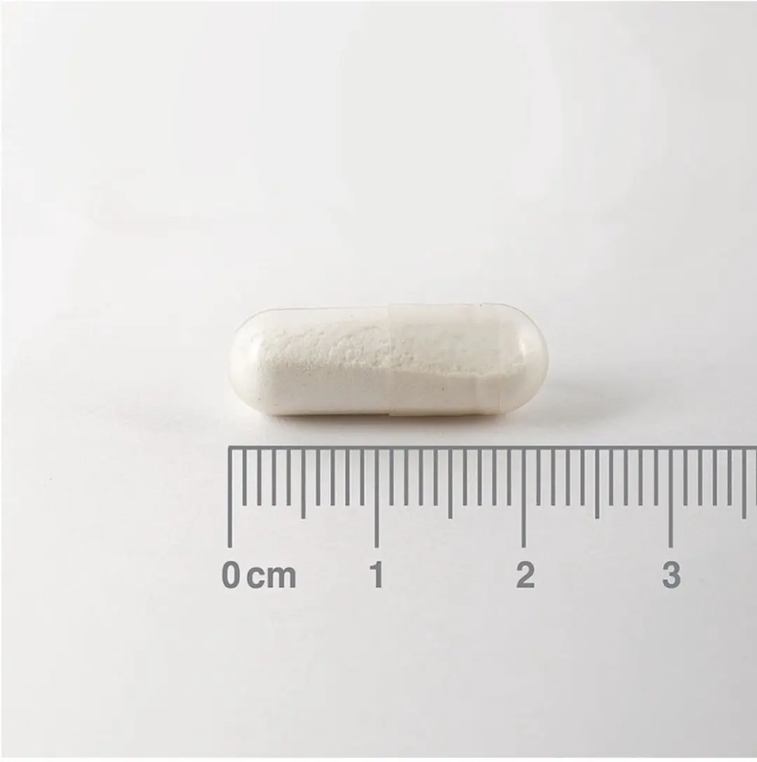 Lamberts Silica Bamboe 90 Capsules