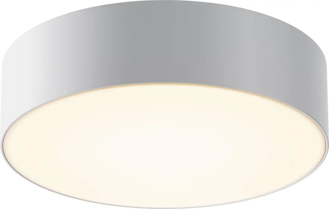 Maytoni Outdoor Zon IP Plafondlamp