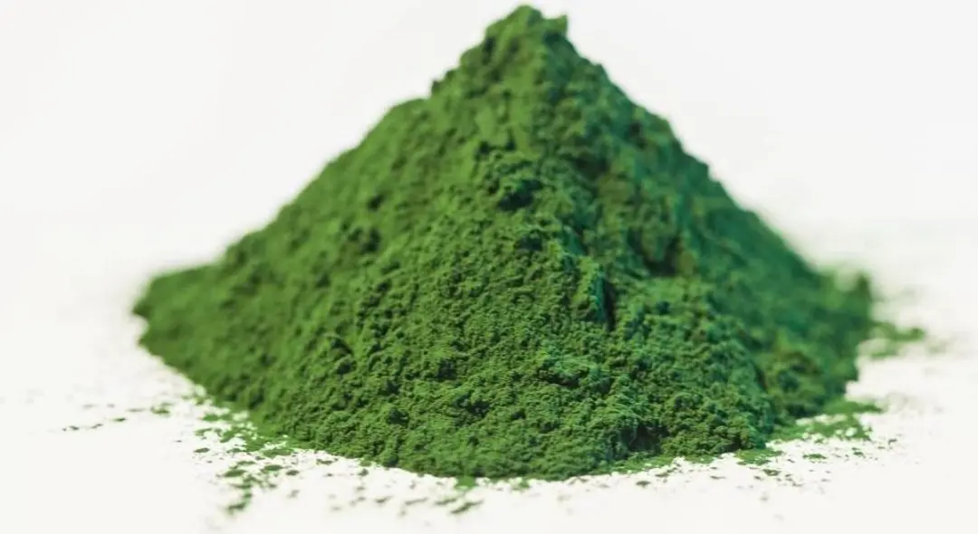 Mattisson Biologisch Chlorella Poeder 125g