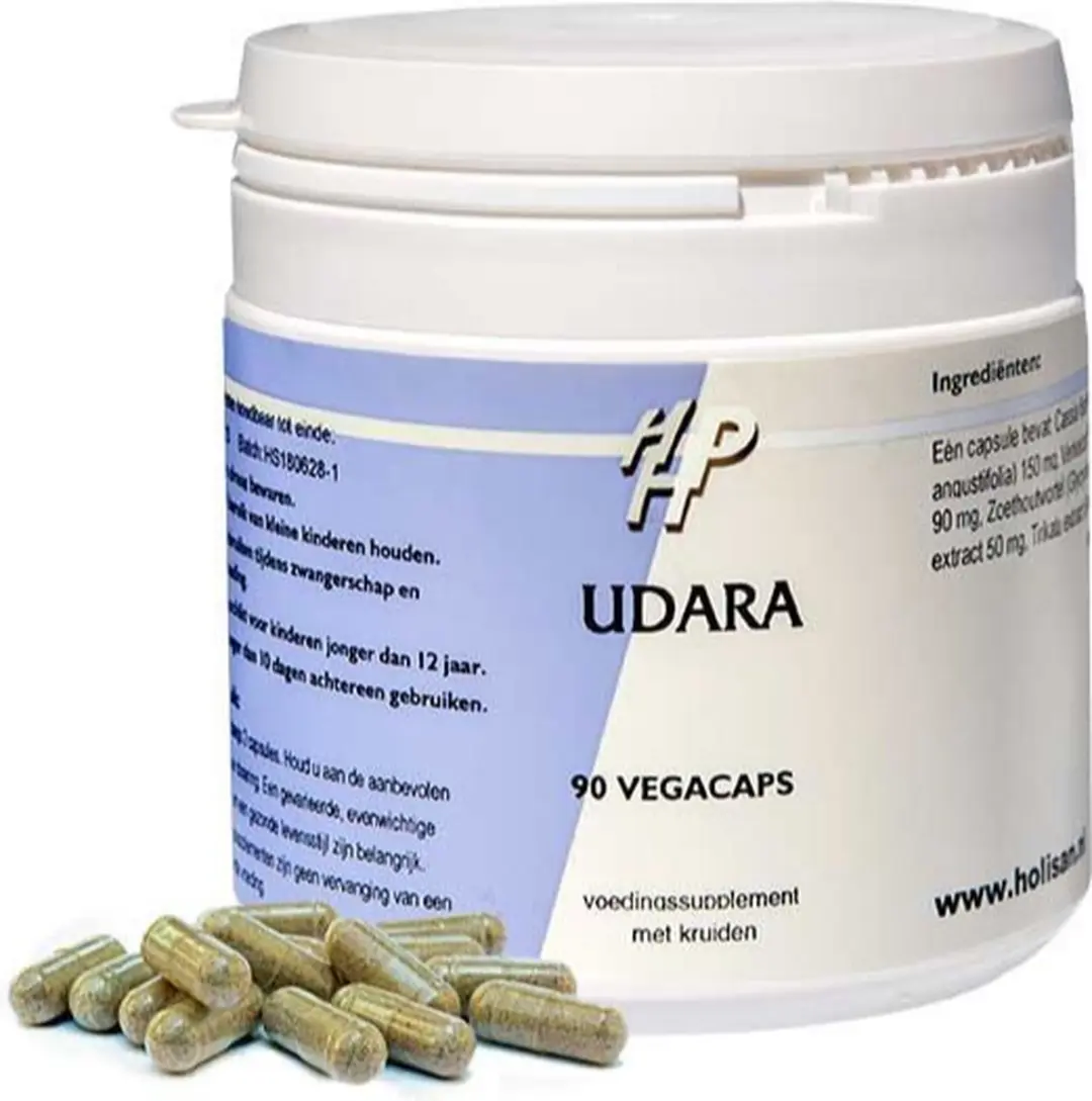 Holisan Udara Capsules 90 Stuks