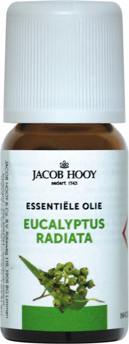 Jacob Hooy Eucalyptus Radiata Olie 10ml