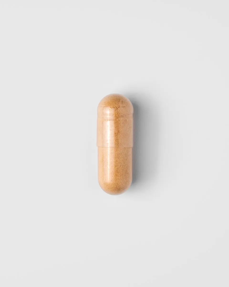 Mattisson Biologische Agaricus 400mg Voedingssupplement 60 Capsules