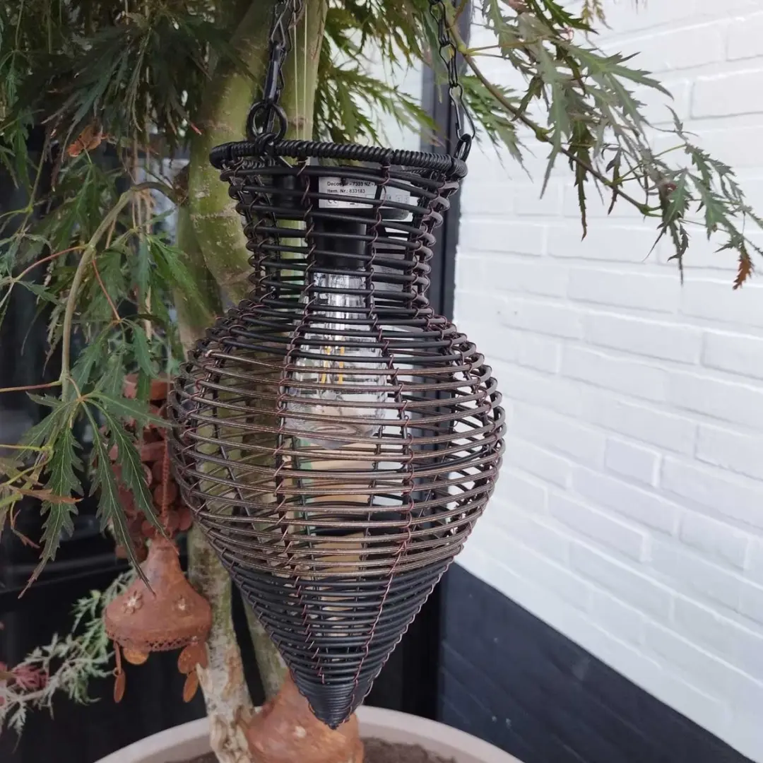 Countryfield Solar Hanglamp - 1 Lichtpunt - Buiten