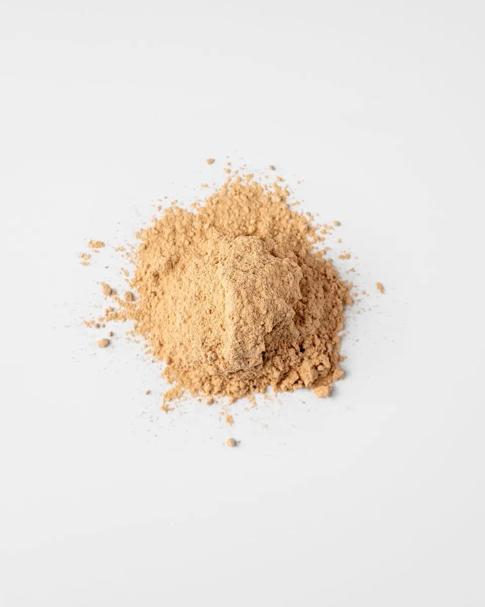 Mattisson Biologische Lion's Mane Poeder 100g