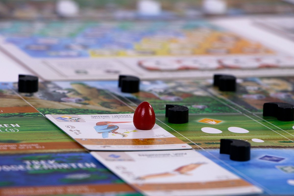 999 Games - Wingspan uitbreiding: Azie Bordspel - Gezelschapsspel - met nieuwe “duet”-variant