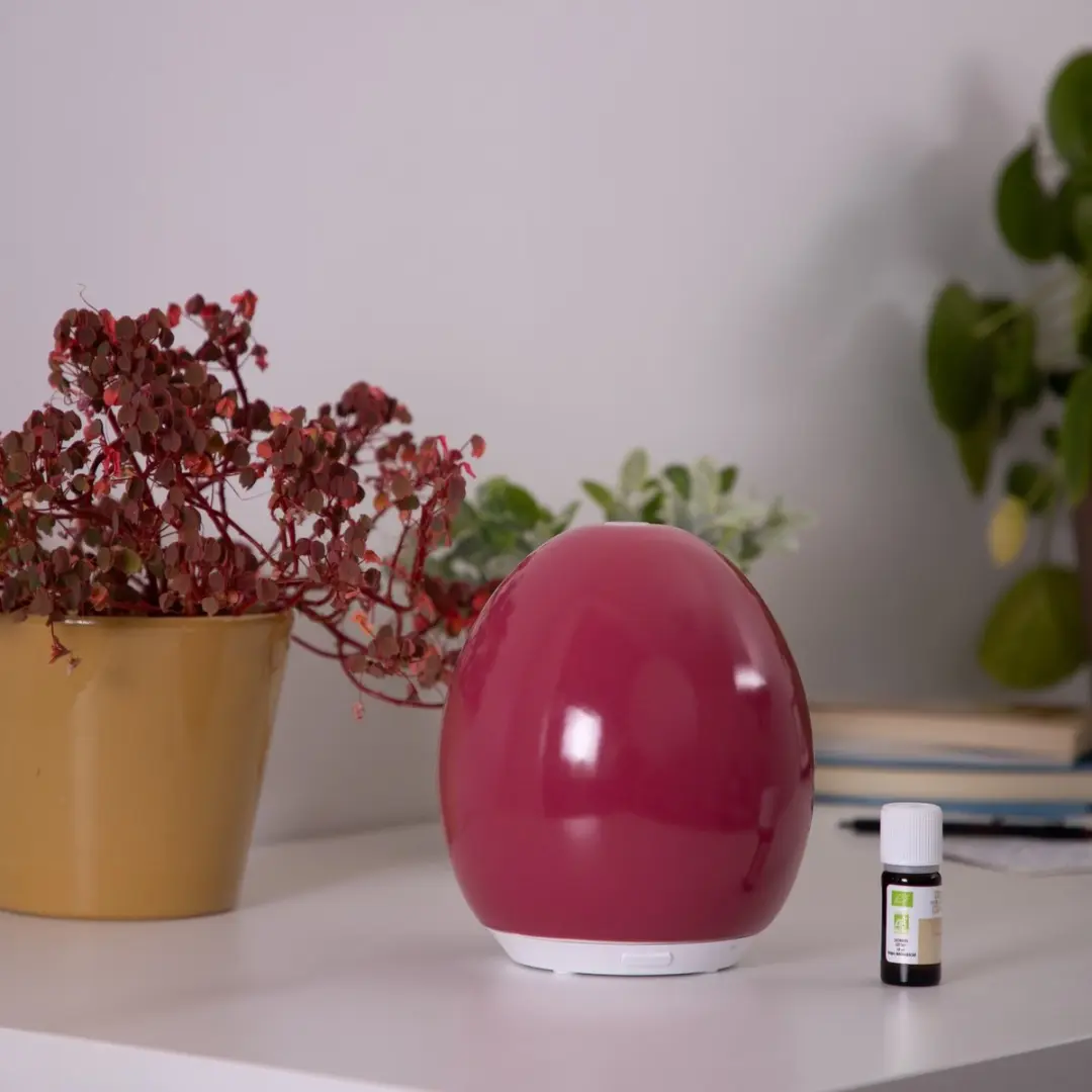 Lanaform Noumea Aroma Diffuser - 120ml - Fuschia