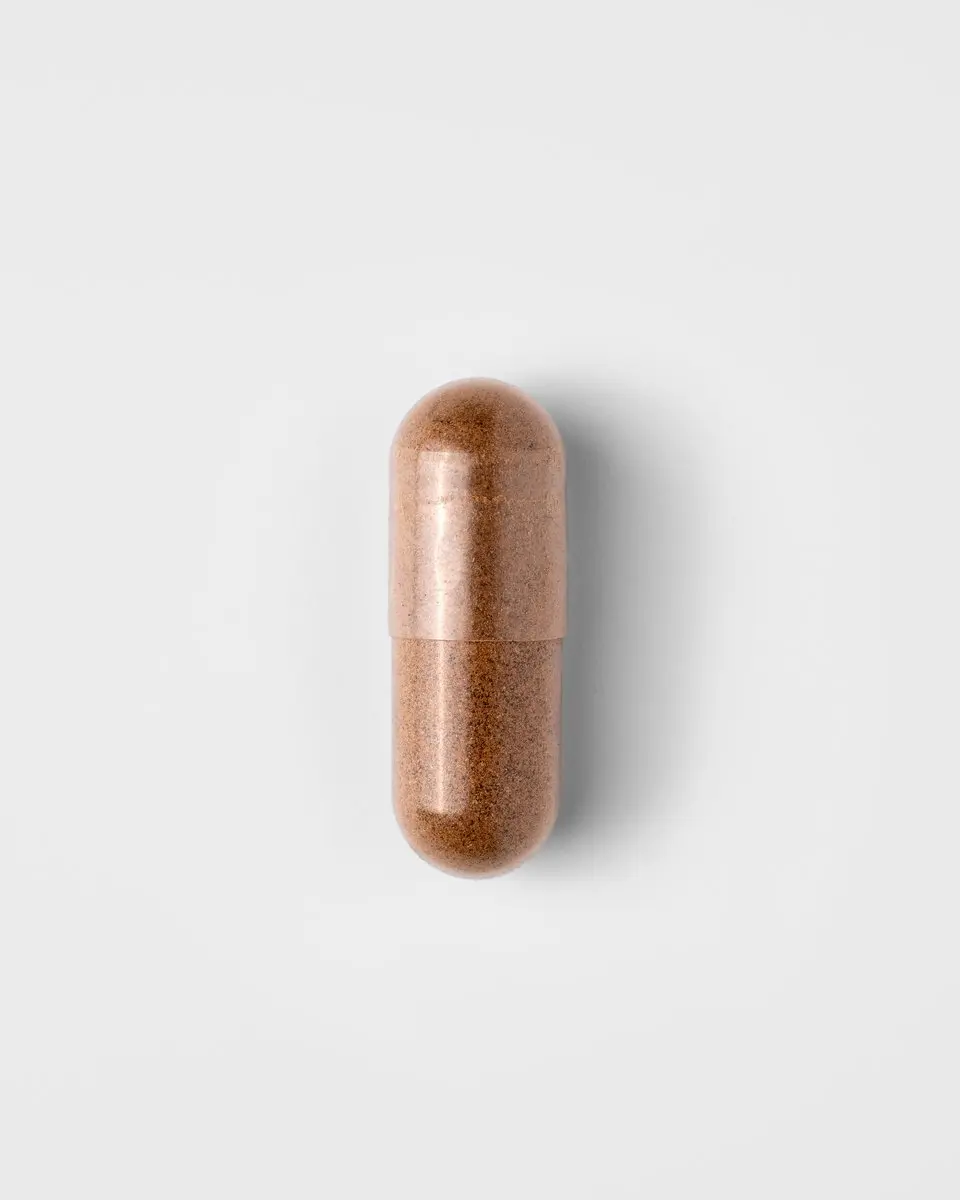 Mattisson Mushroom Immuun Support 60 Capsules