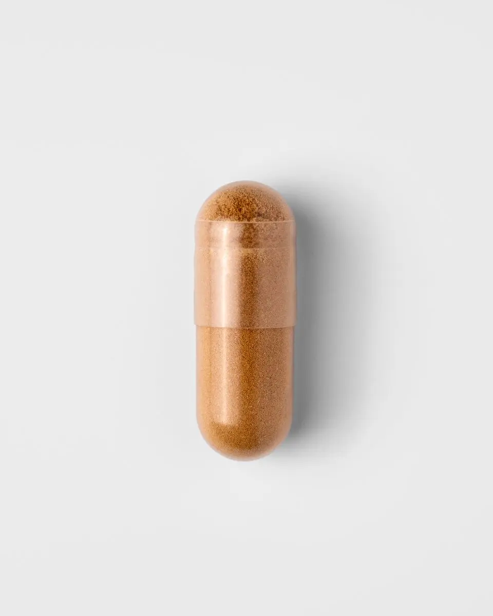 Mattisson Biologische Maitake 400mg Capsules - 60 Stuks