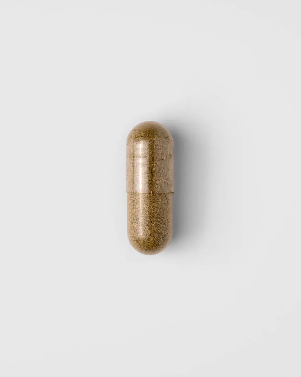 Mattisson Biologische Zwarte Bes 300mg Capsules - 120 Stuks