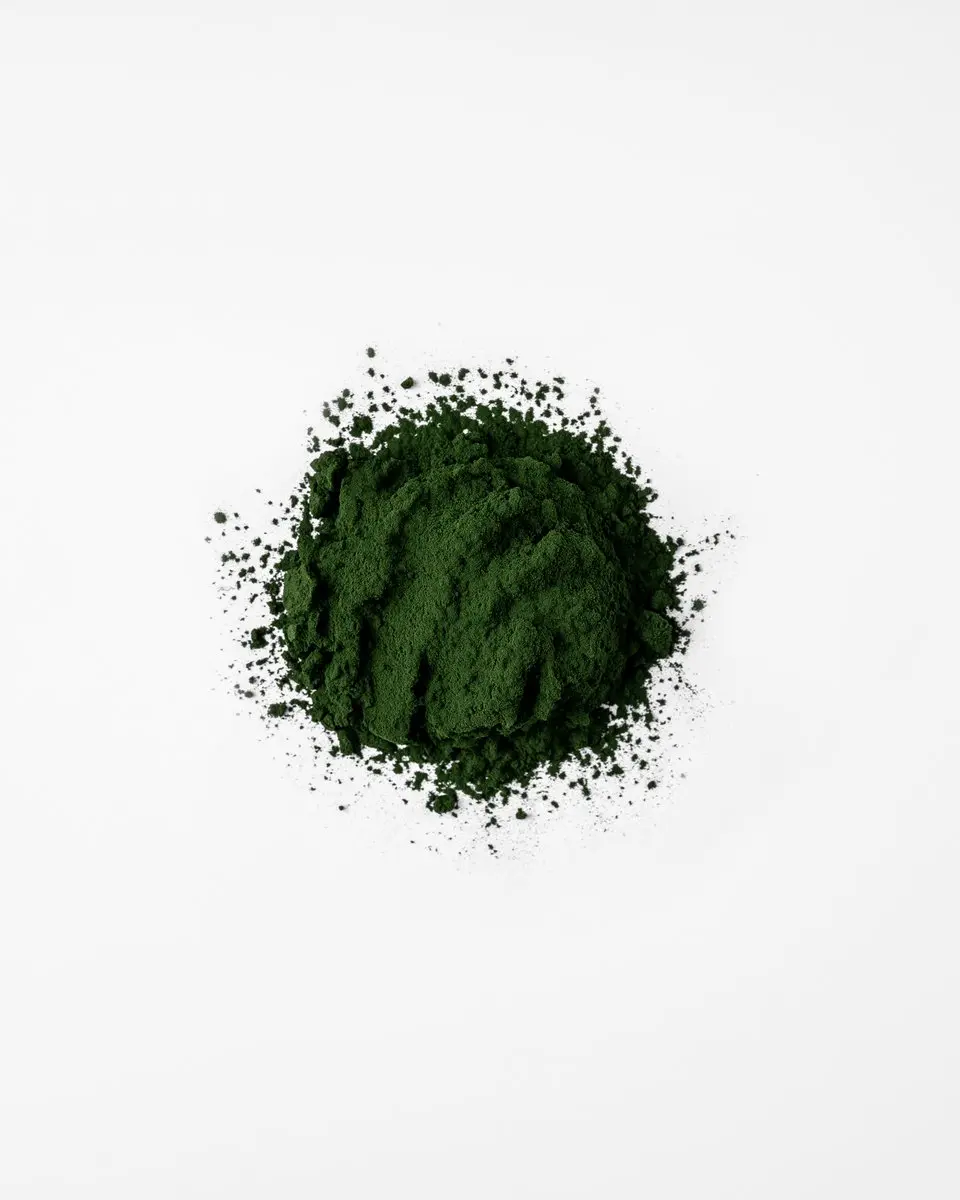 Mattisson Europees Chlorella Poeder 125g