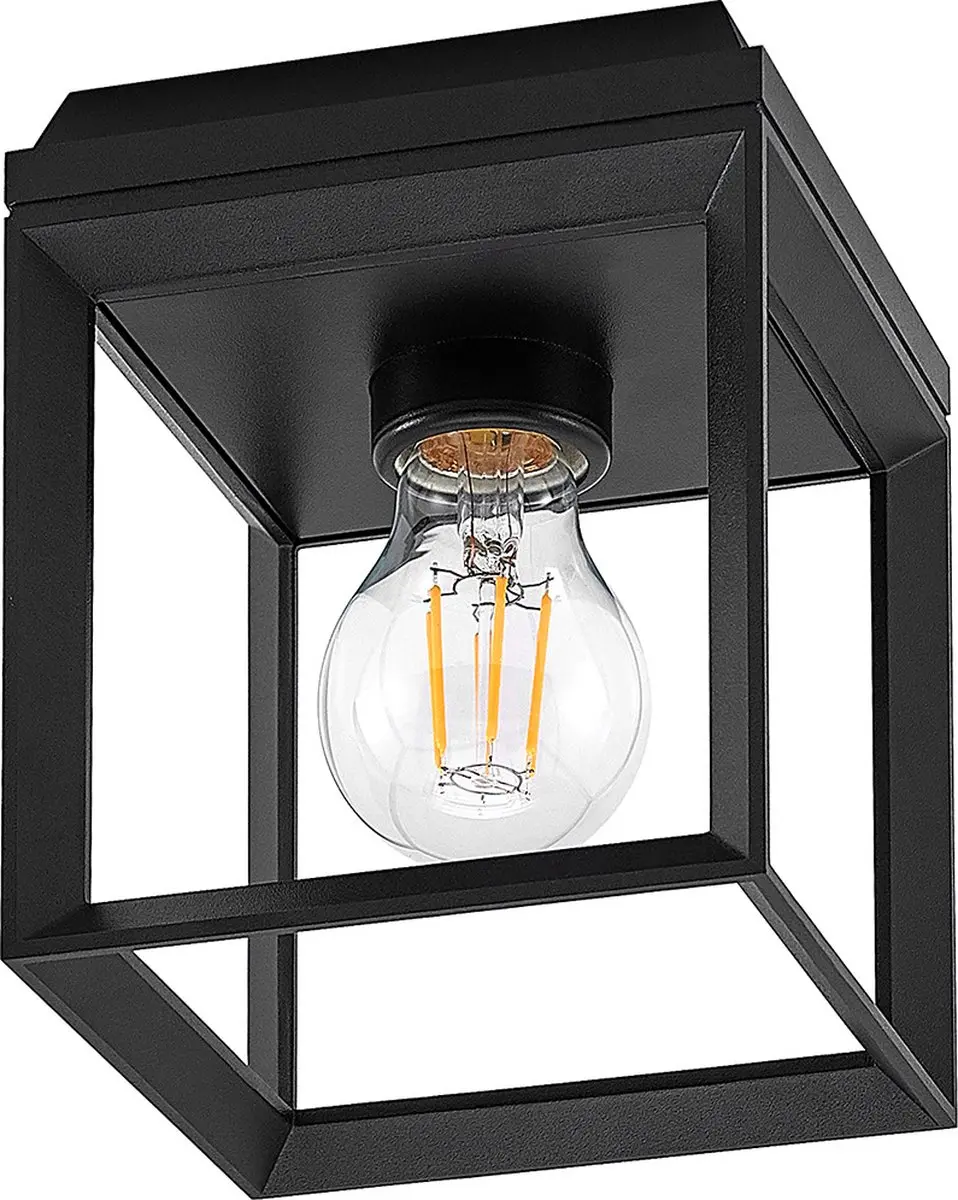 ARCCHIO Plafondlamp 1 Licht - Zwart