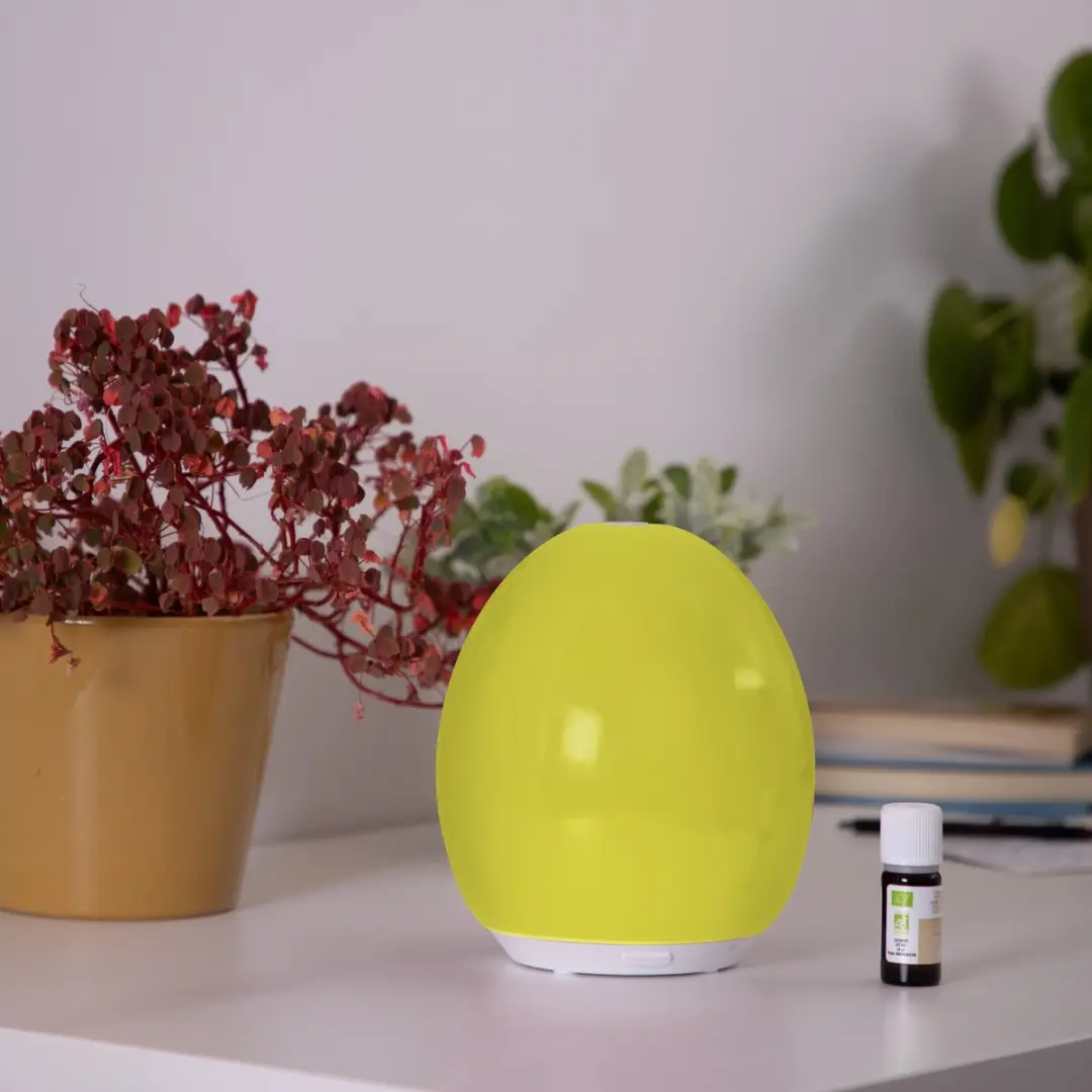 Lanaform Noumea Aroma Diffuser 120ml - Groen
