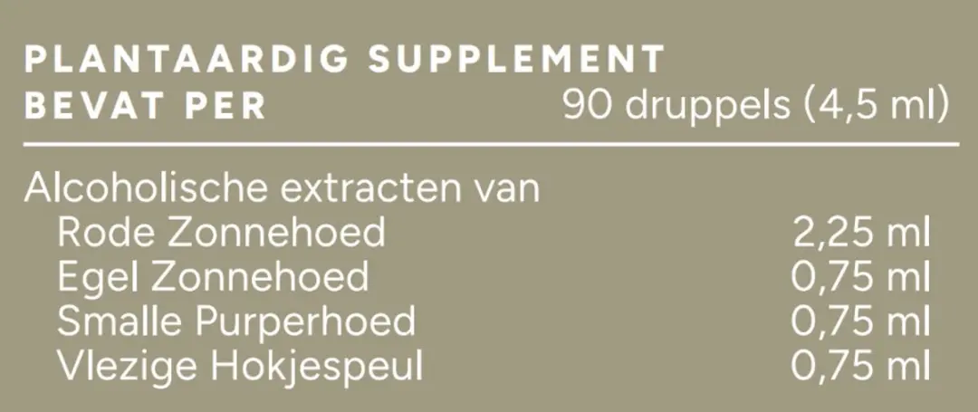 Mattisson Biologisch Echinacea Complex Tinctuur 100ml