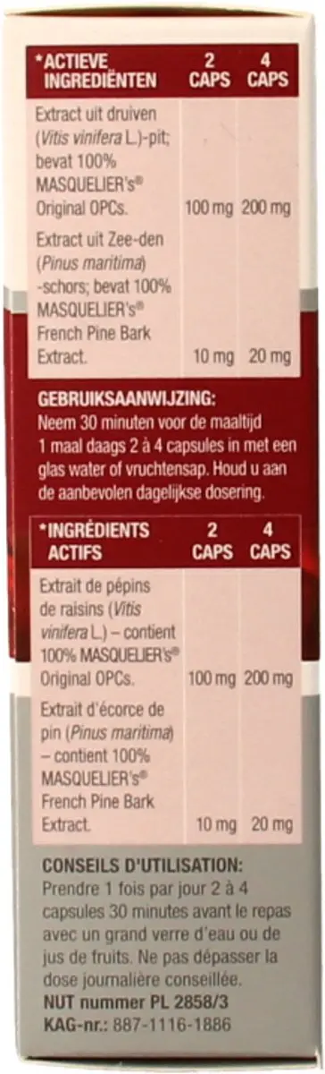 Masqueliers Anthogenol Capsules - 60 Stuks