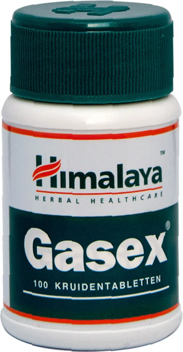Holisan Gasex 100 Tabletten