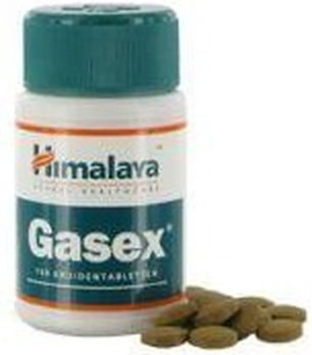 Holisan Gasex 100 Tabletten - 100mg