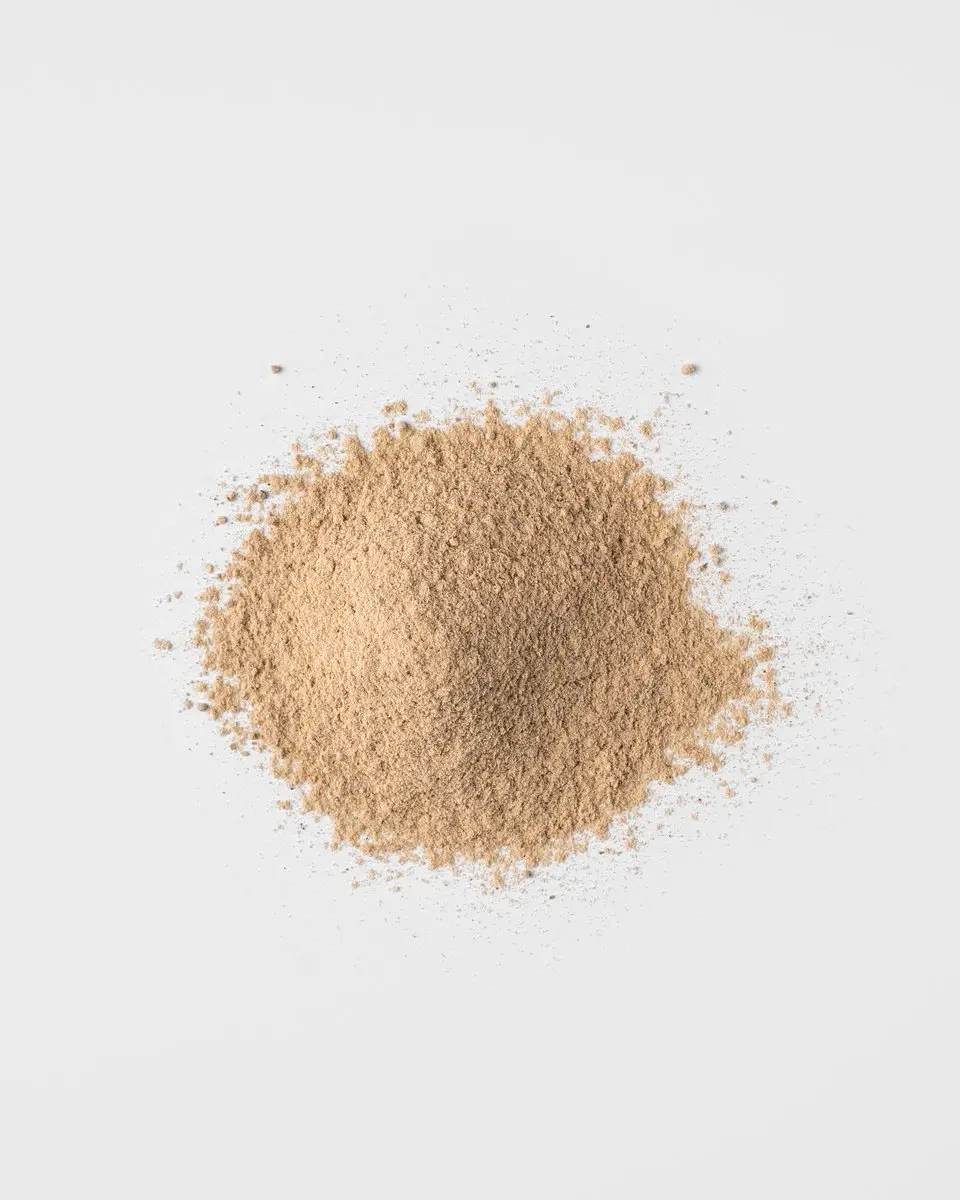 Mattisson Biologische Vegan Proteïne Blend Poeder 400g