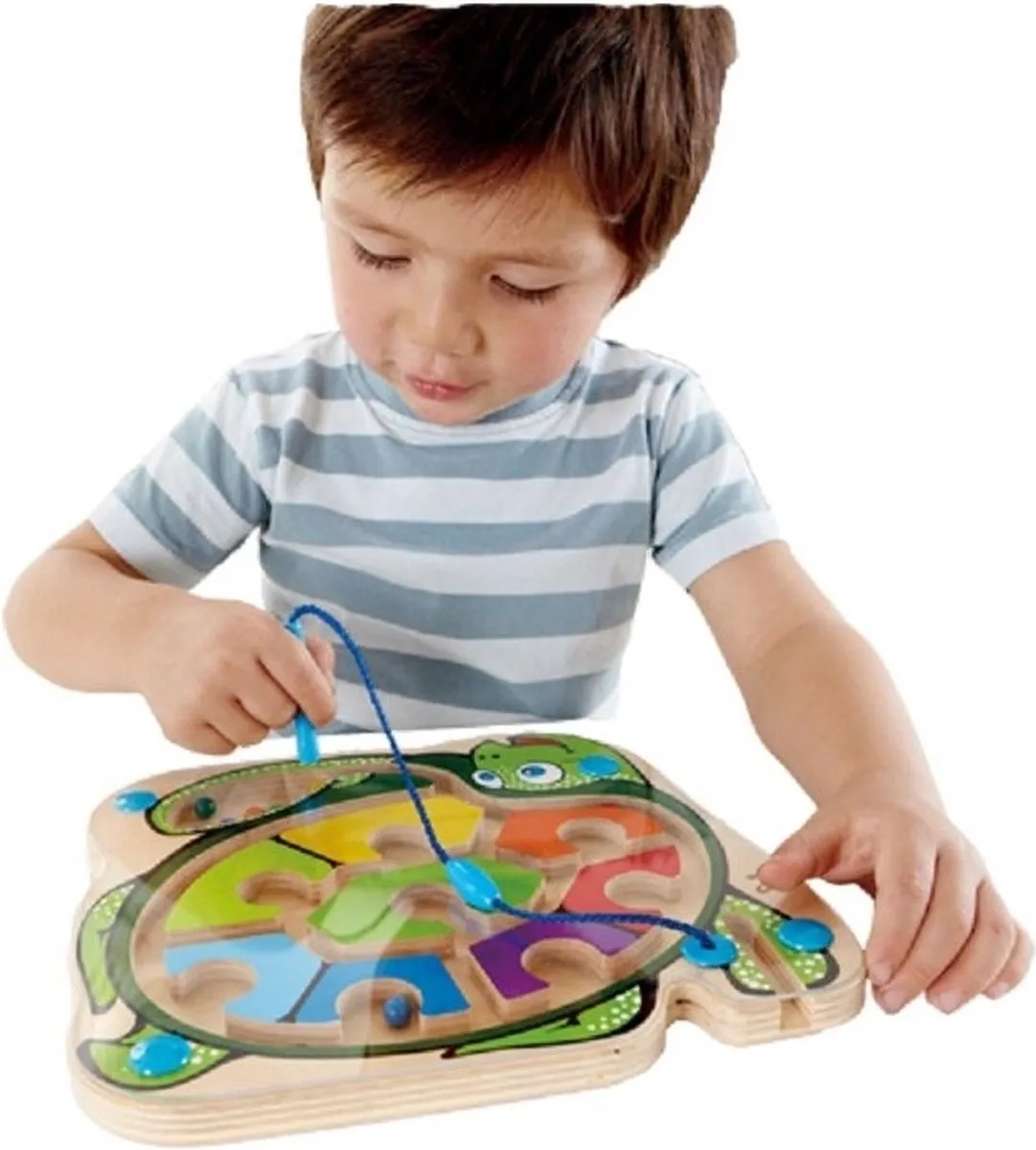 Hape Colorback Sea Turtle 301704 - Doolhof - Veelkleurig