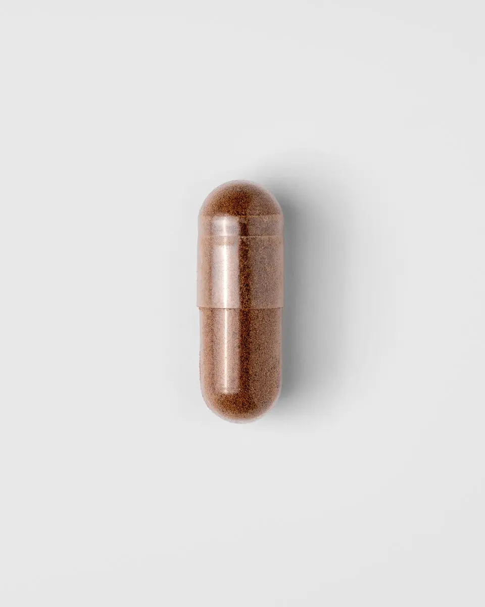 Mattisson Biologisch Reishi Extract 400mg - 60 Capsules