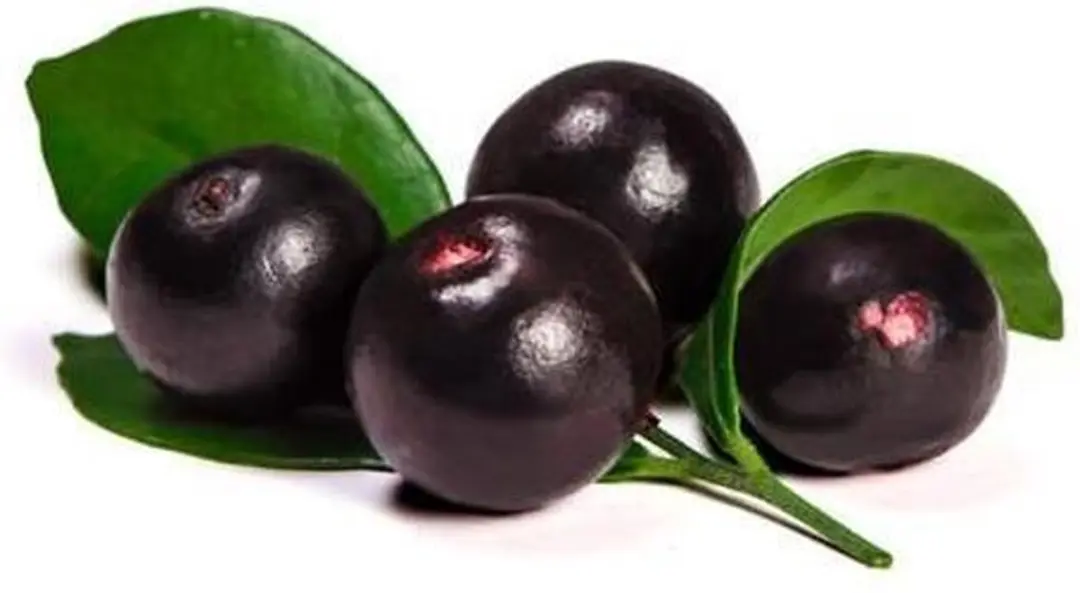 Mattisson Biologisch Acai Poeder 125g