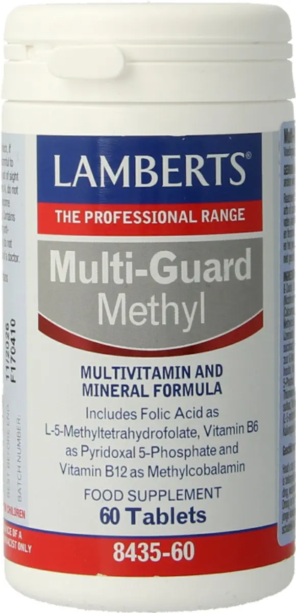 Lamberts Multi-guard Methyl 60 Tabletten