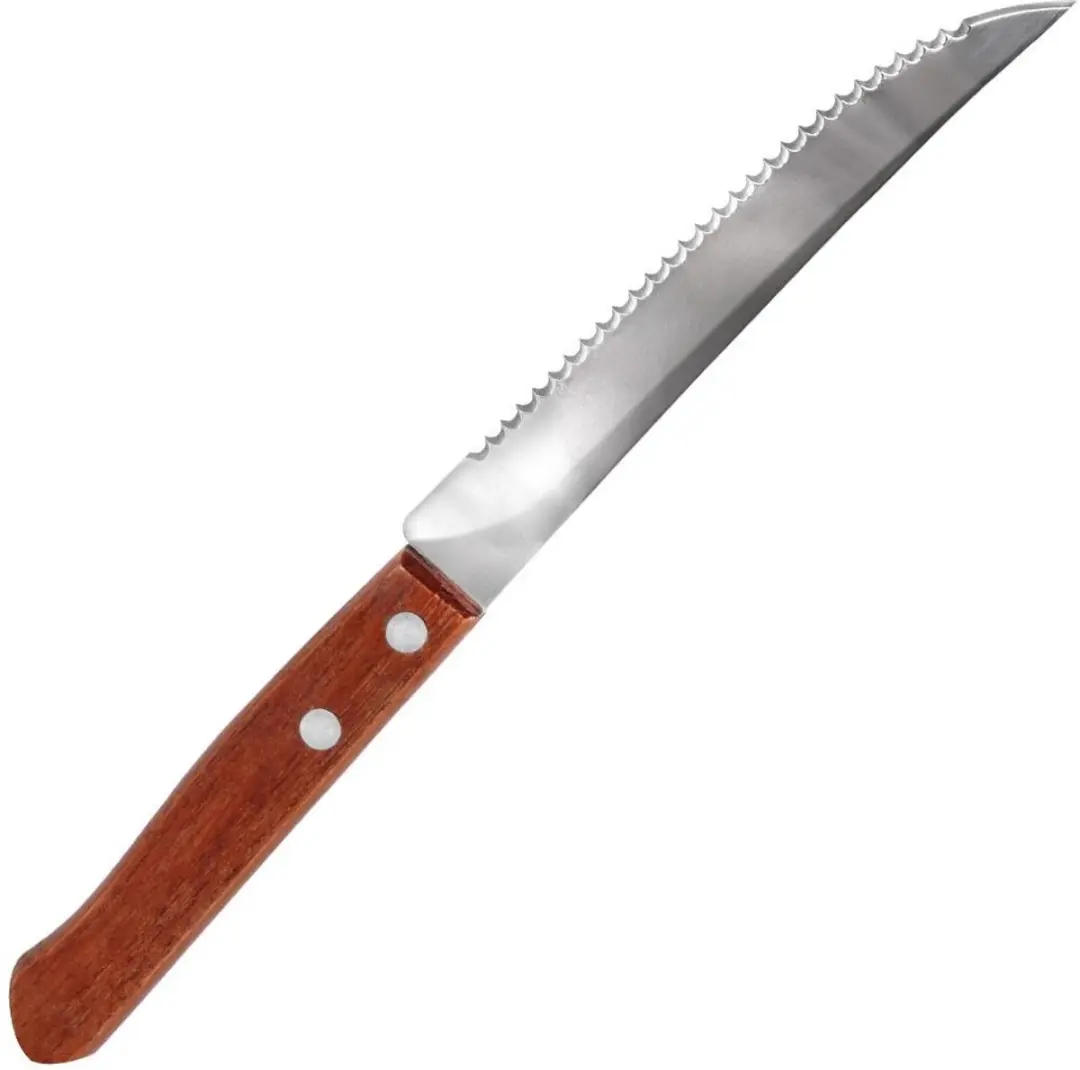 Orion Steakmessen Set 6 Stuks - 20,5 cm