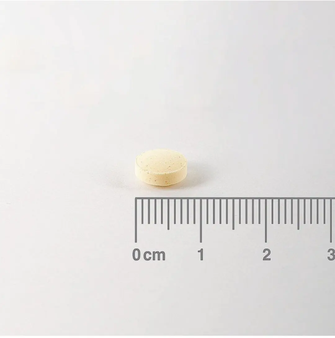 Lamberts Foliumzuur 400mcg Tabletten - 100 Stuks