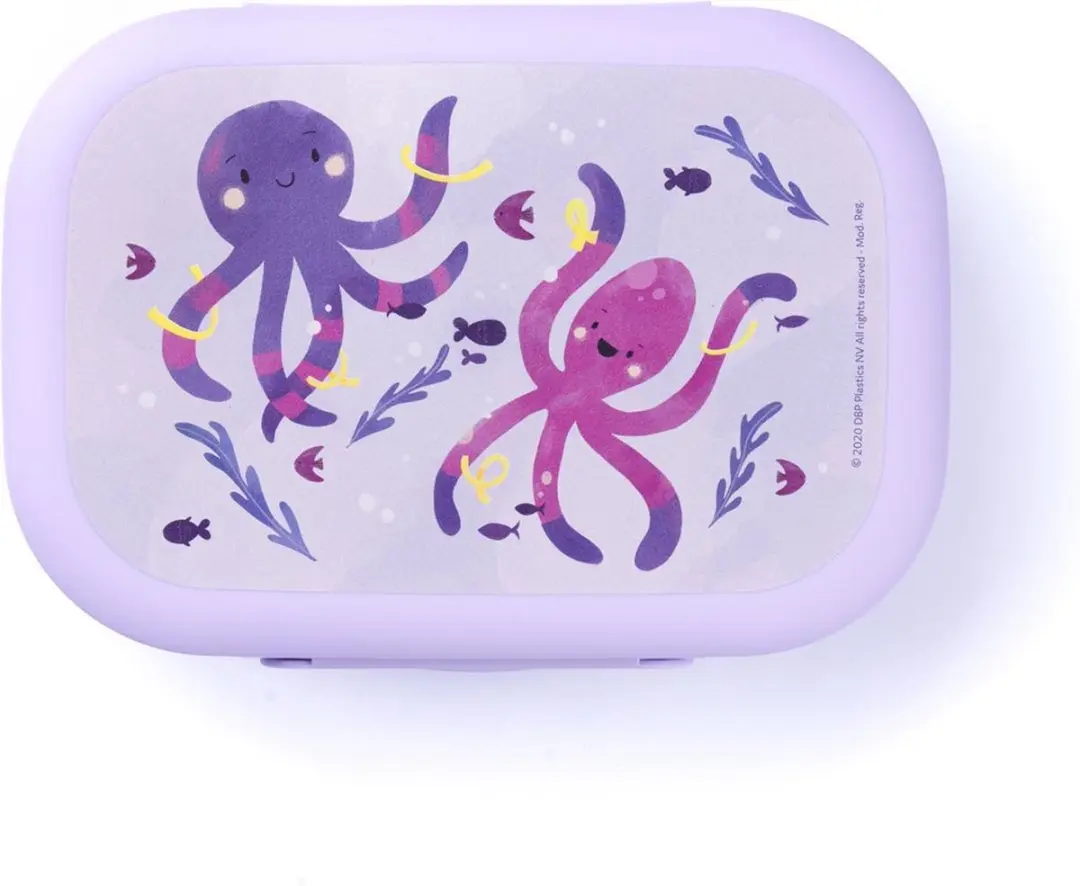 Amuse Brooddoos Sea Life