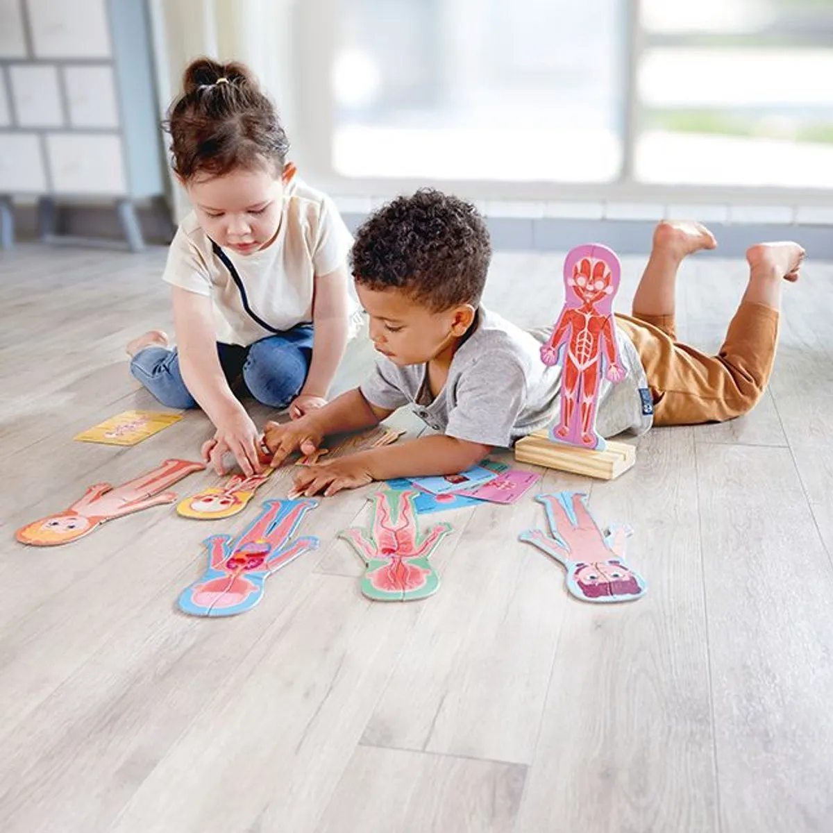 Hape Menselijk Lichaam Magnetische Puzzel 60 Stuks - Multicolor - afbeelding 6 van 6