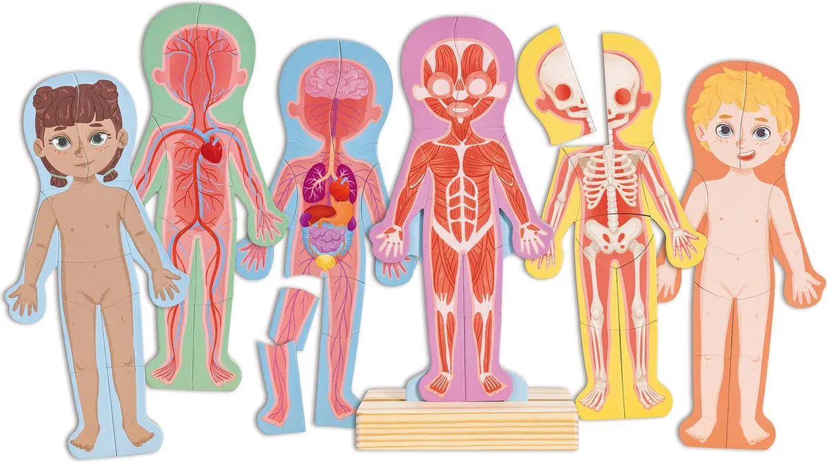 Hape Menselijk Lichaam Magnetische Puzzel 60 Stuks