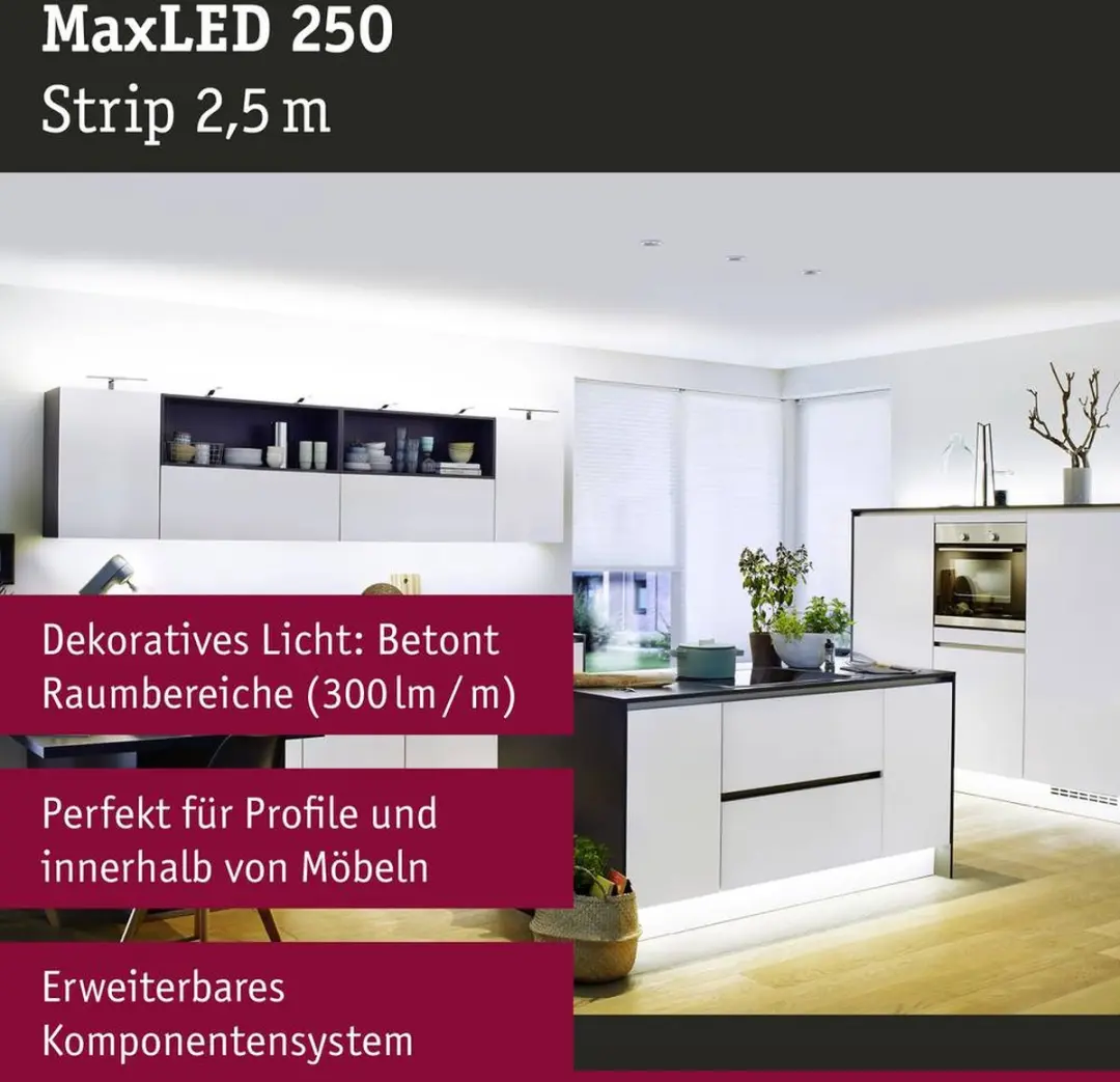 Paulmann MaxLED 250 LED-strip Daglichtwit 250cm - Zilver