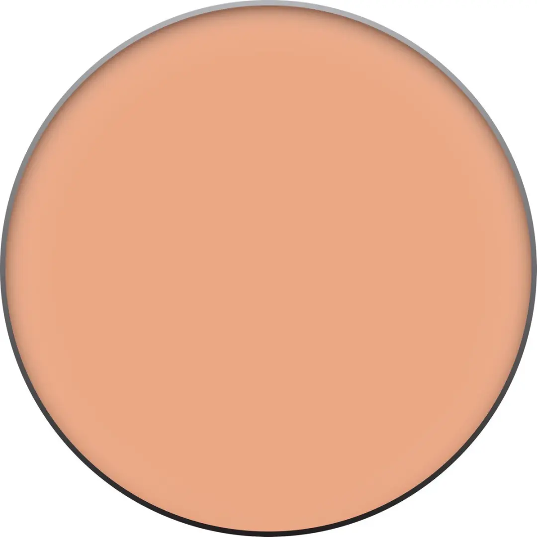 Clinique Almost Powder Makeup Poeder 9g - 04 Neutral
