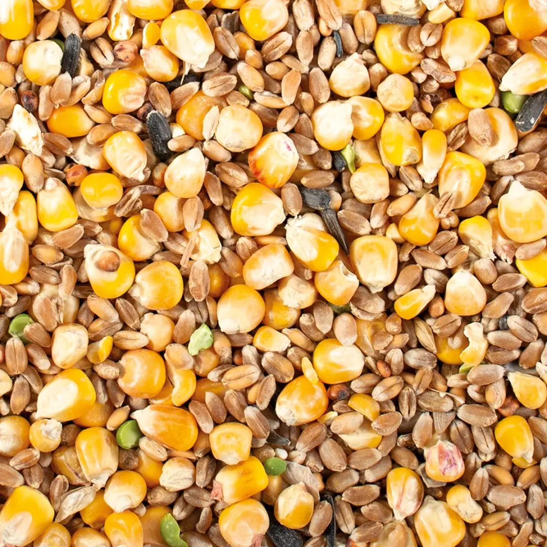 DuvoPlus Kippenvoer Hen Mix 20kg