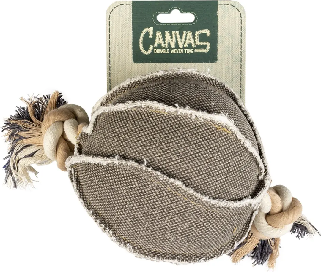 Duvo+ Canvas Bal met Touw - Multicolor