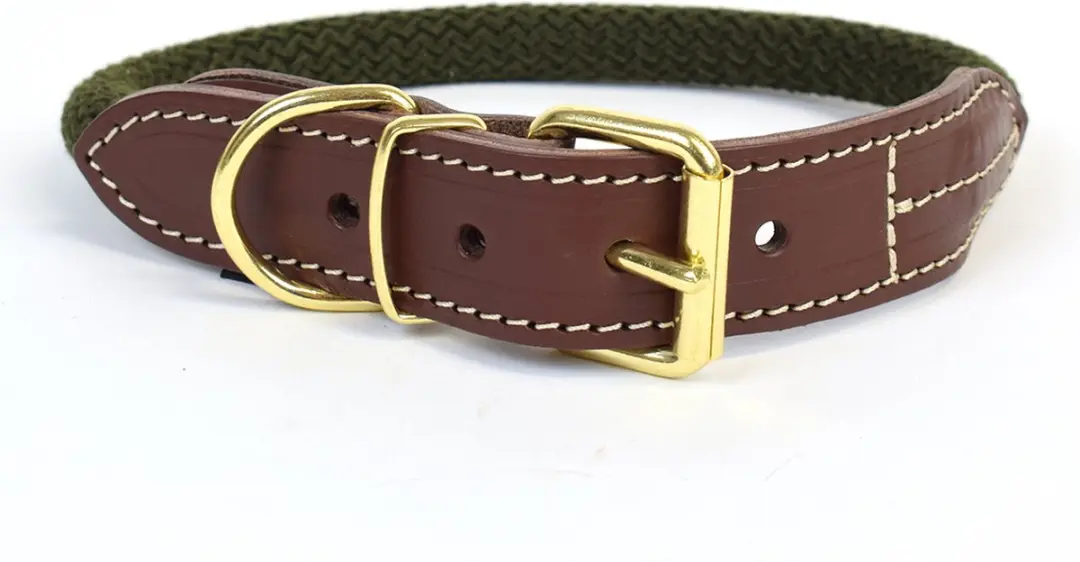 DuvoPlus Explor Forest Halsband Nylon M - 41-49cm/14mm Groen