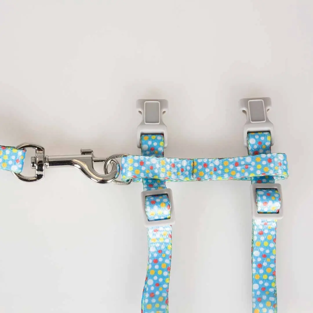 Duvo+ Kat Wandelset Kleurrijke Bollen 20-35cm - 125cm